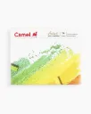 Camel  Artist  Soft  Pastels | 36  shades  |