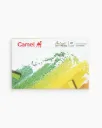 Camel  Artist  Soft  Pastels |  20  shades     | 20 shades